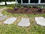 Winesett Nursery and Landscaping photo 7