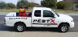 PestX Bakersfield Termite & Pest Control