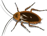 Step Aside Pest Management photo 4