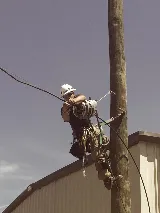 Lloyd's Electric Service photo 3