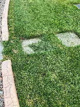 Trimline Landscape Management photo 5