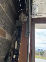 Pesterminator pest control photo 8