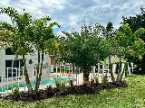 Total Maintenance Landscaping photo 2