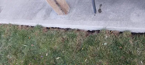 Insight Pest Solutions photo 1