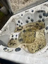 Superb pool service photo 8