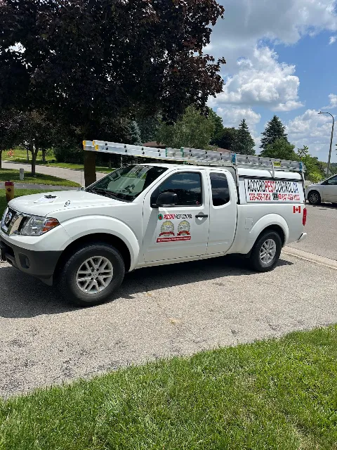 Accord Pest Control in Kitchener