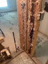 Turner Pest Control photo 5