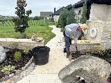 Ideal Landscape Services, Inc. photo 2