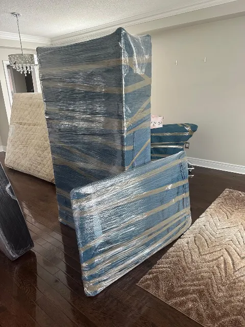 Terra Moving photo 1