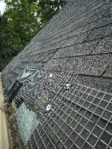Kia pestcontrol&wildlife removal photo 3