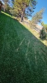 Legendary Lawncare LLC photo 7