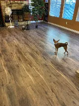 Michael Flooring photo 5