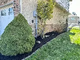 Lawn Boy Landscaping & Hardscaping photo 5