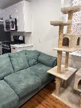 ABC Movers Philadelphia Inc photo 5