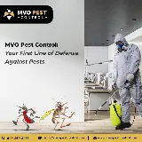 MVO Pest Control photo 5