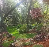 Design A Dream Landscaping photo 6