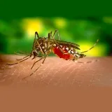 Environmental Pest Control Inc. photo 6