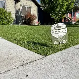 Yard Guard Lawn & Tree Care photo 3