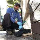 Insight Pest Solutions photo 7