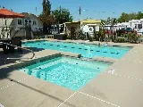 Artesian Pools & Spas photo 3