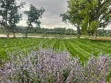 Greenleaf Landscape Management