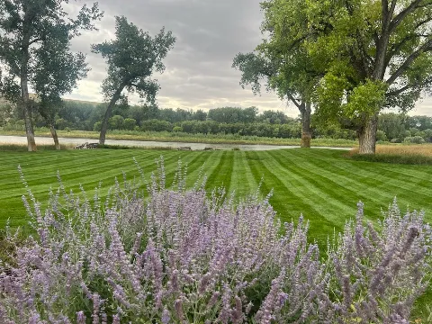 Greenleaf Landscape Management photo 1