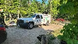 Healthy Homes Pest Control photo 5