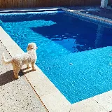 Destiny Pools photo 3