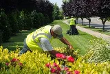 U.S. Lawns - Round Rock
