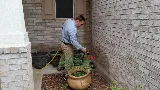 Beeline Pest Control photo 2