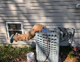 Air & Water Solutions photo 2