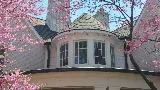 RENOVX Windows Replacement photo 4