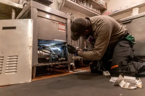 Lloyd Pest & Termite Control photo 1