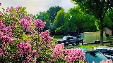 Bluegrass Outdoor Services LLC