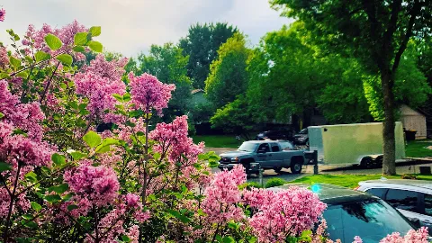Bluegrass Outdoor Services LLC in Burnsville