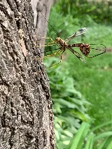 Mid Central Pest Control photo 8