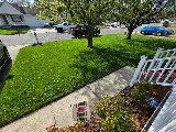 Agronomic Lawn Management photo 5