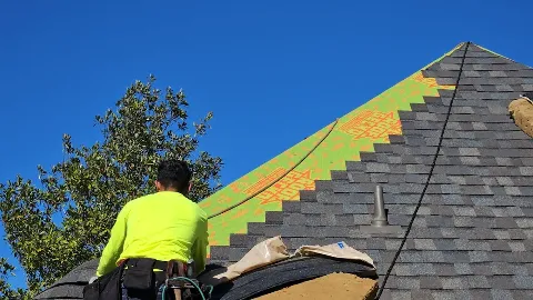 Roof Gecko in Baton Rouge