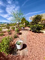 LandTeck Inc. Landscape & Irrigation Contractor photo 8