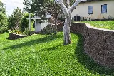 Lawn Pros photo 8