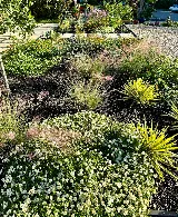 Gardens for Texas photo 2