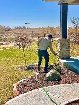 Recon Pest Services photo 5