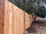 Economy Landscaping photo 8