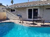 Excellent Pool Services photo 3