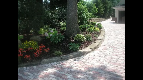 Bluegrass Incorporated Landscaping photo 1