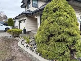 Ouellette Landscaping Ltd photo 5