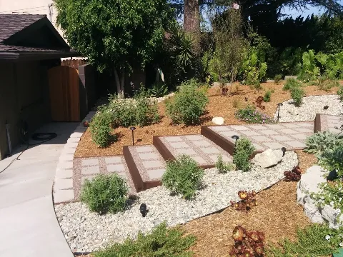 Creative Concepts Landscape Management in Glendale