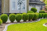 Gonzalez & Sons Landscaping Inc