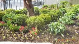 Manhattan Landscape Company photo 3