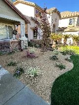 Pacific landscape service photo 6